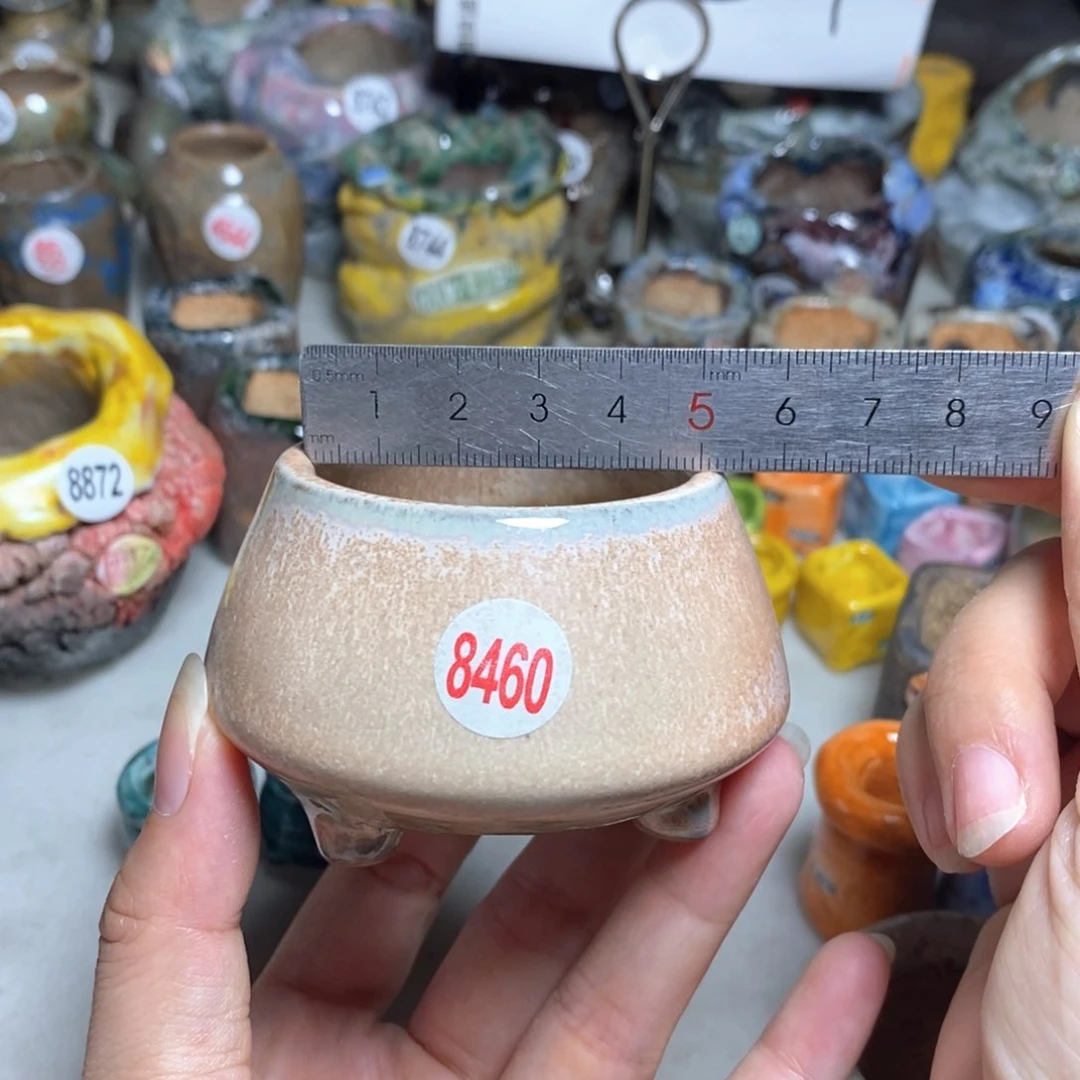 拍5送一个小礼物