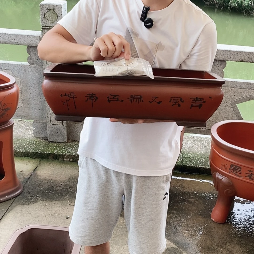 紫砂花盆紫砂花盆