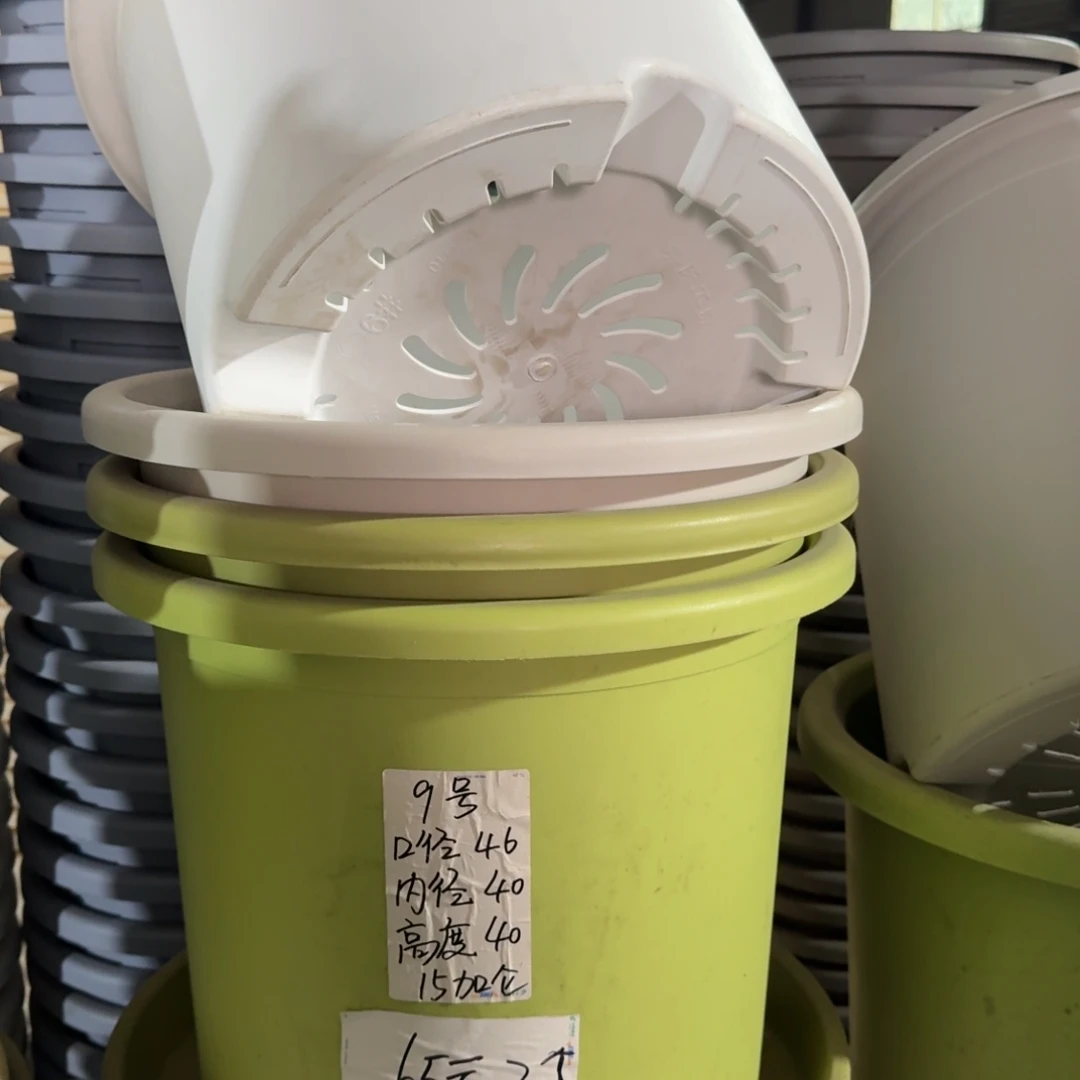 四季9#口径46无拖果绿3个