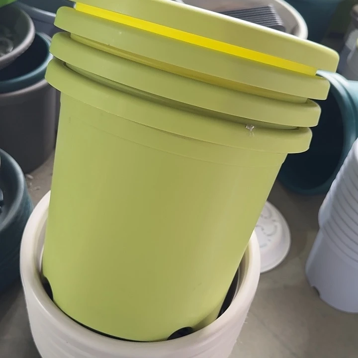 微瑕5#口径29果绿5个无托