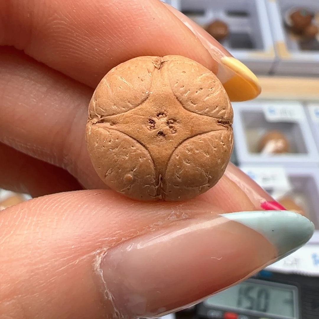 凤眼菩提吊坠麒麟福利尺寸15厚度10.7