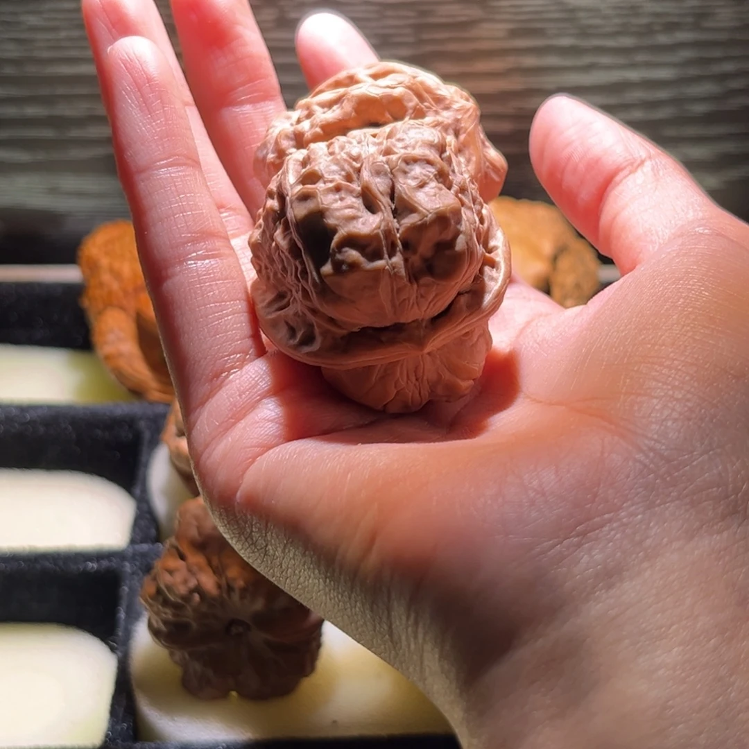 龙***雲大叶紫檀（黑酸枝木类）蛤蟆