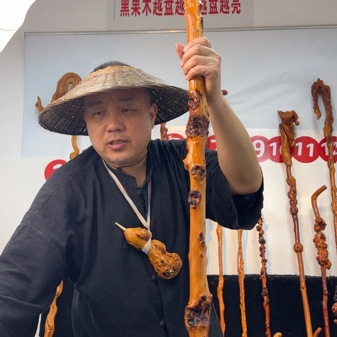 心***阳黑果木其他黑果木908