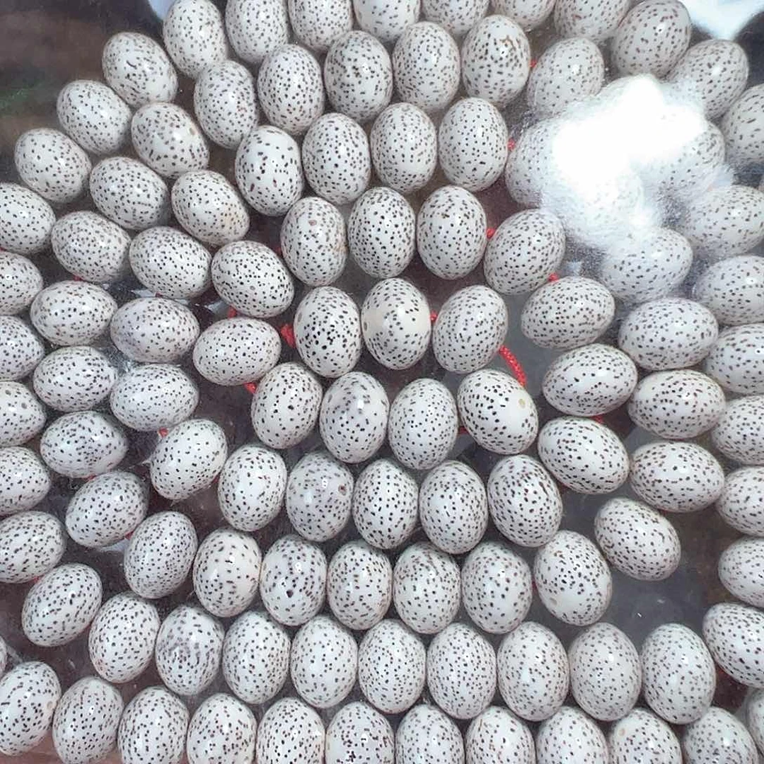 星月菩提手串星月菩提脱脂顺白