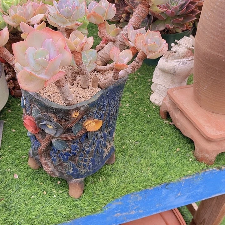 知***乐不麻麻烦不售后处理价带盆哈哈哈哈哈哈哈哈