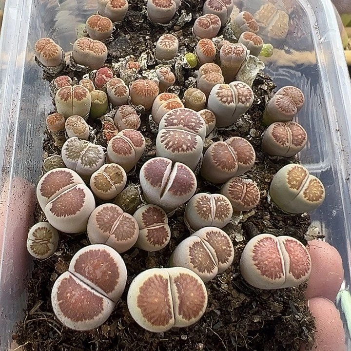 5379福利清1111111111