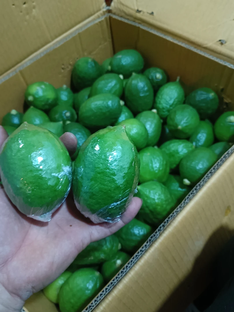 一级香水柠檬，大约75～180克（5斤装）