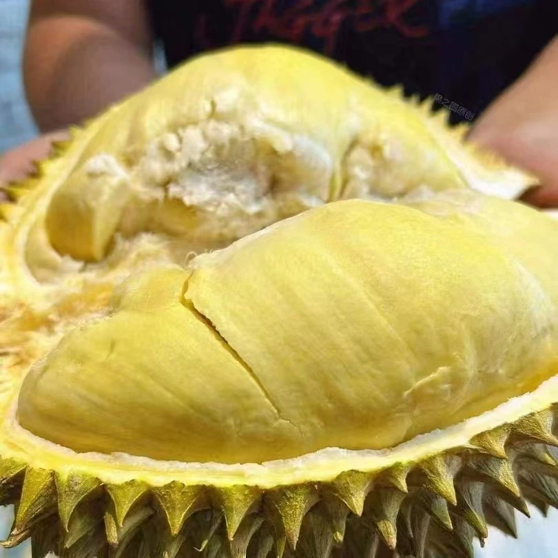 （软糯香甜）泰国空运树上熟新鲜金枕榴莲2斤以上肉核小榴莲同城配金枕泰国