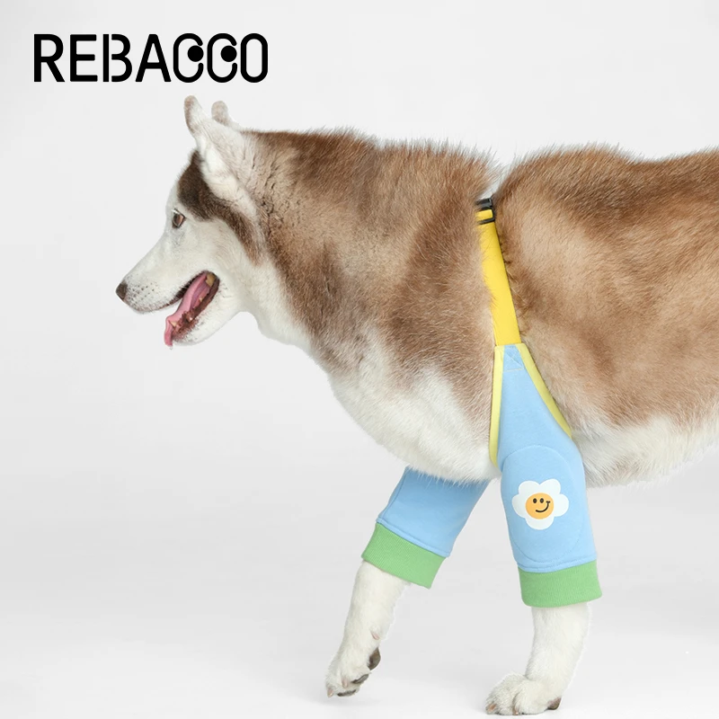 瑞巴客狗狗护肘衣服关节保护套大狗宠物防脏神器护膝外出四季通用