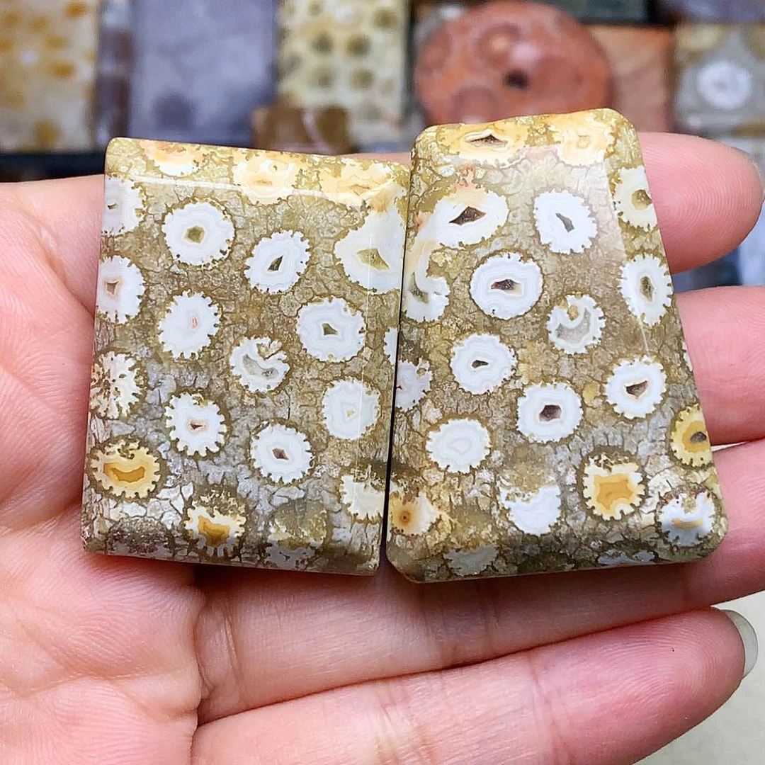 石英质玉颈饰未镶嵌炽*使骨骼花