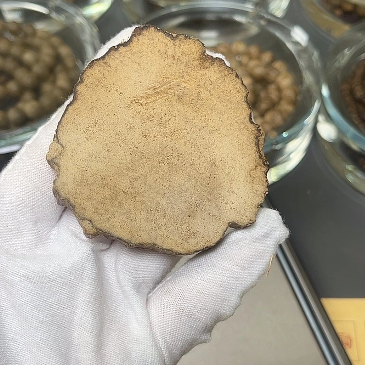 钱***塘木芽12克➕沉水天然