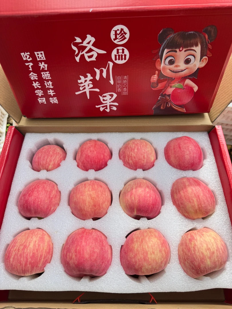 礼盒装顺丰包邮陕西洛川红富士苹果当季新鲜脆甜可口送礼佳品