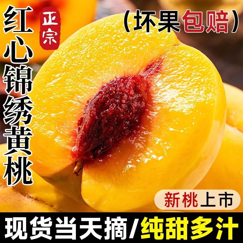 正宗锦绣黄桃新鲜水果现摘当季脆甜蒙阴毛桃露天黄金蜜桃大果包邮