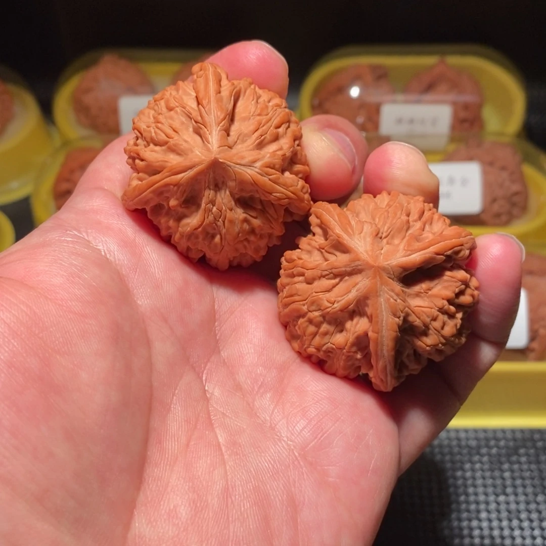 42全品御龙粗筋球奔精品对