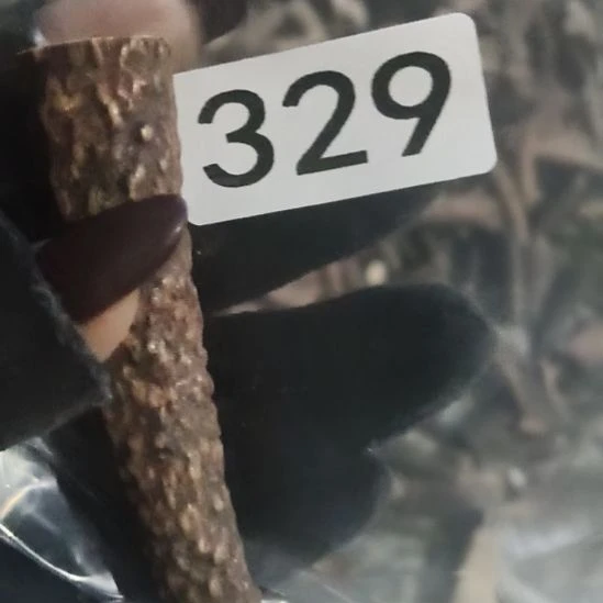 鲲***舸鹿角鹿角鹿角鹿角鹿角鹿角