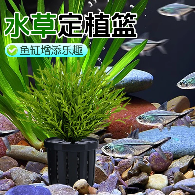 【宠大条】家用鱼缸水草定植篮造景装饰固根器水草泥沉底水草固定器