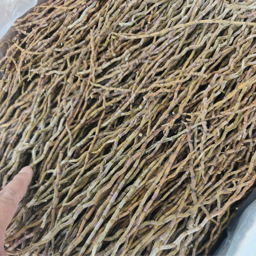 精选铁皮干条胶质满满无渣可磨粉1000g铁皮石斛的功效与滋仙草