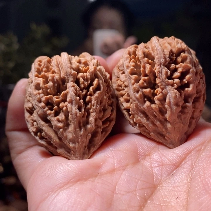 把件文玩核桃东北楸子小路337