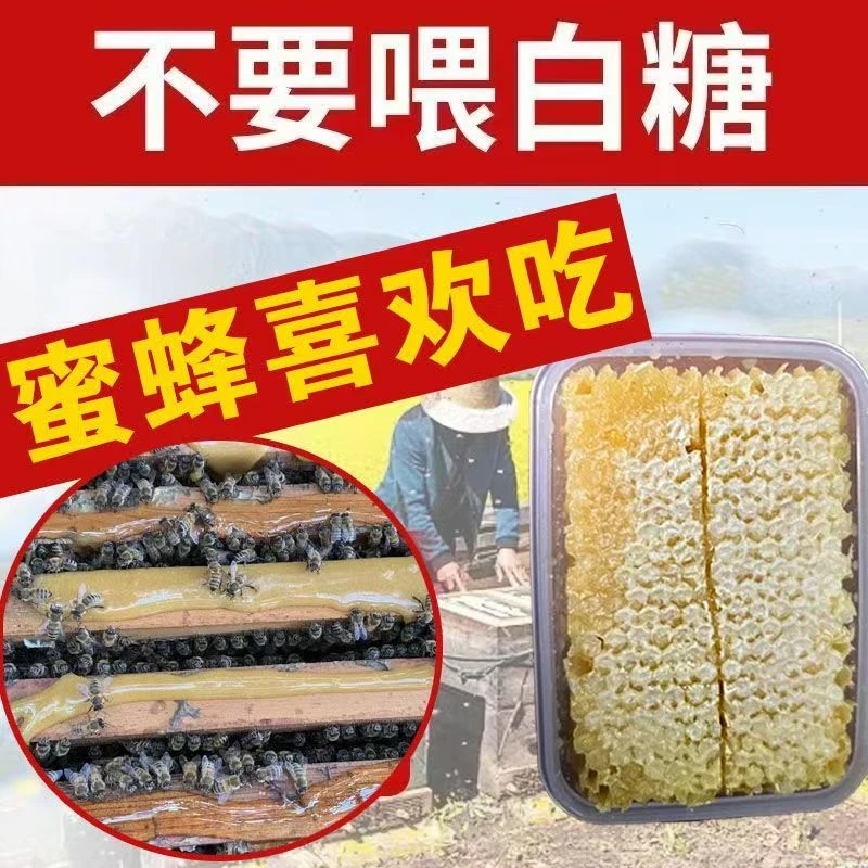 现切成熟蜂巢蜜喂养蜜蜂喂蜂口粮缺蜜期喂蜂