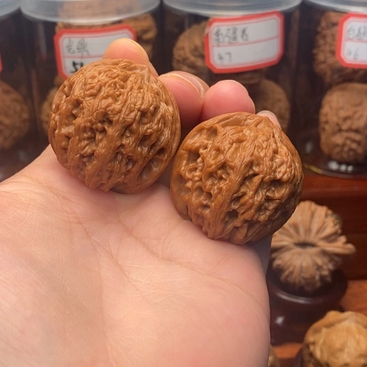 核桃皇家正圆狮子头36
