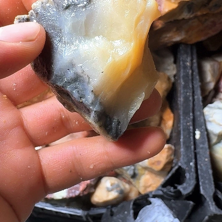 那***匆寿山石寿山石的种类