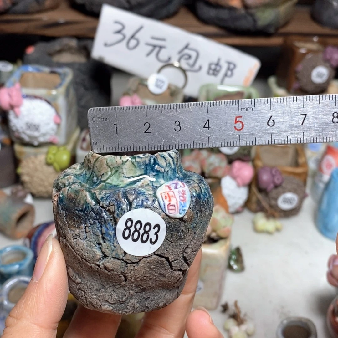 特价款不退不换，原价44