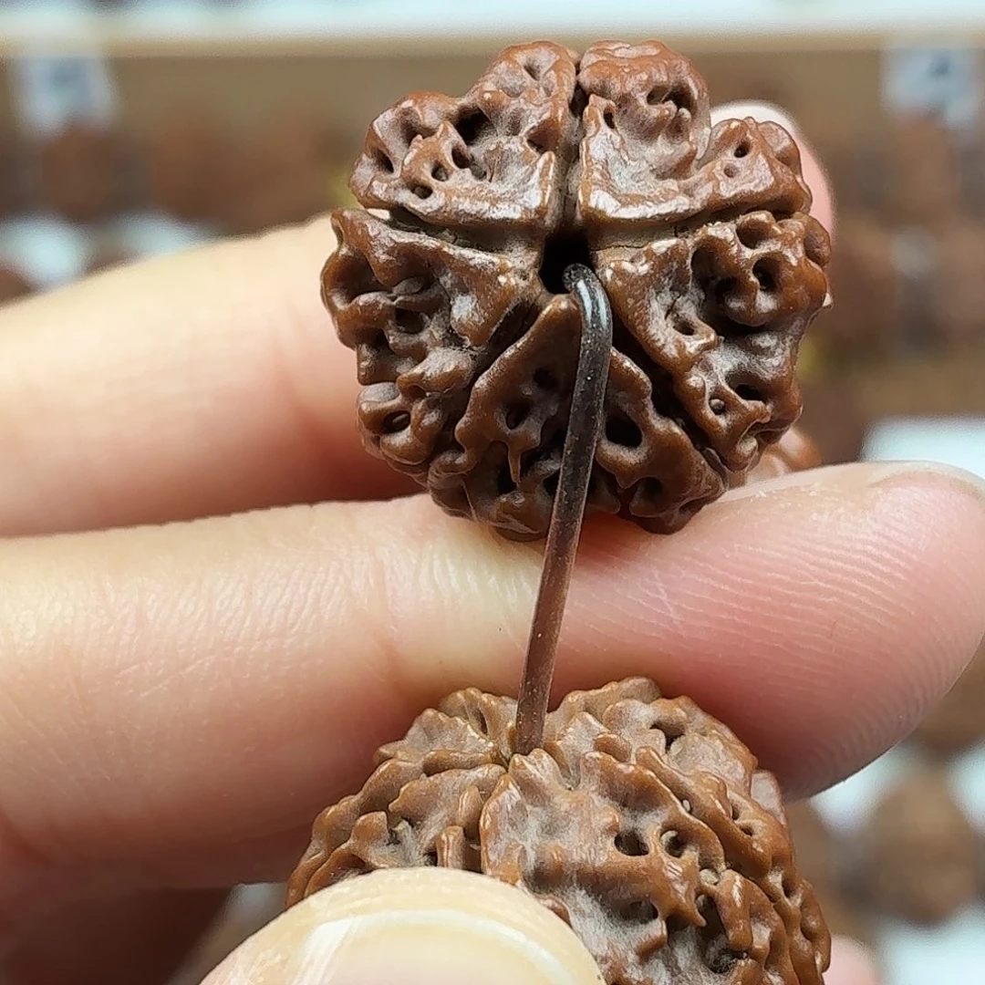 金刚菩提手串精品梅花粗筋蜂窝