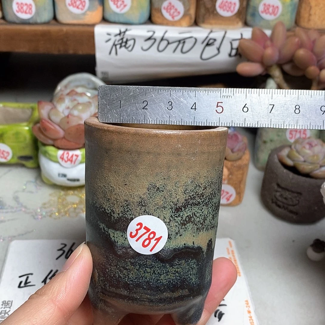 红陶拍5送一个小