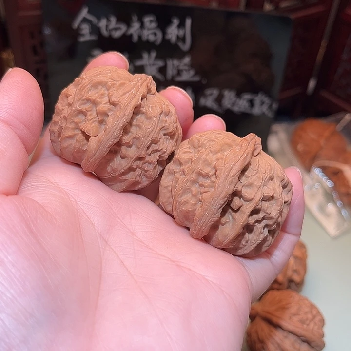 41白狮子……………………