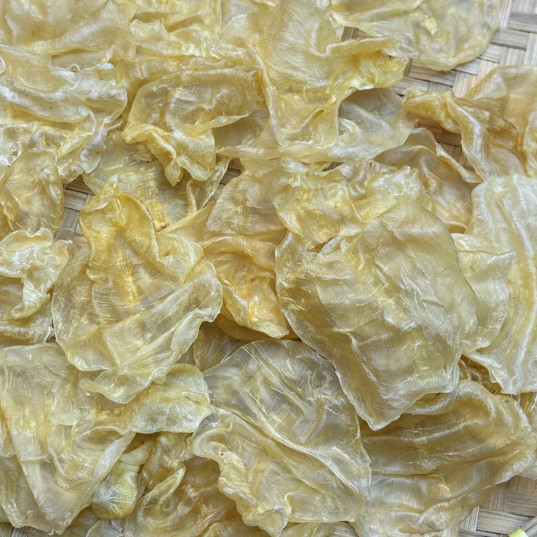 【马芸荟御用】马老太收藏高货水波纹甲肚鱼胶