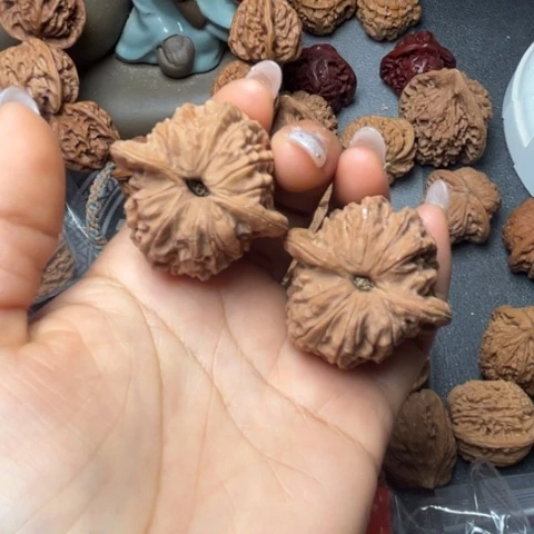 文玩核桃吊坠血麒麟