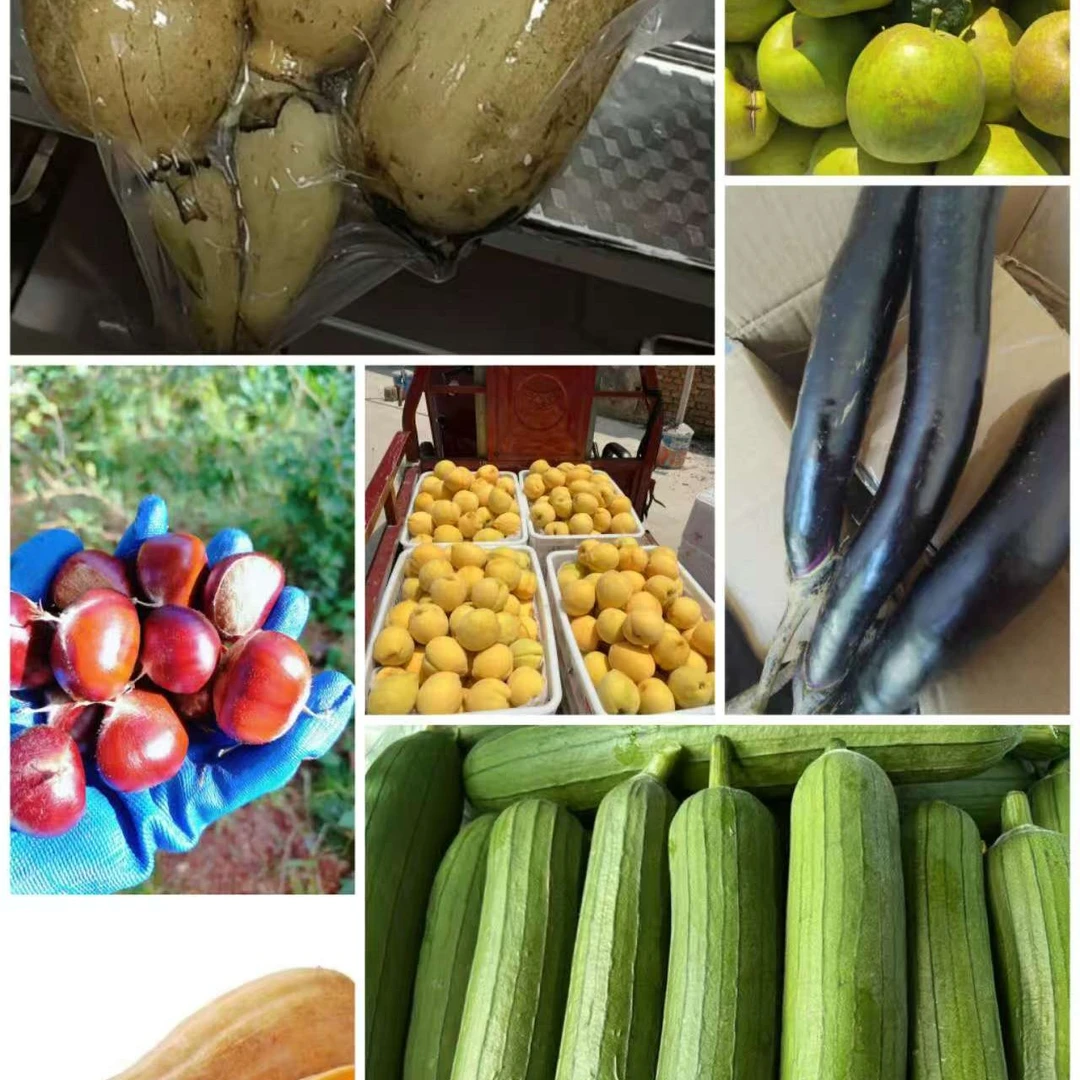 农村各类农家蔬菜土特产现场称重(一物一拍,直播付款)