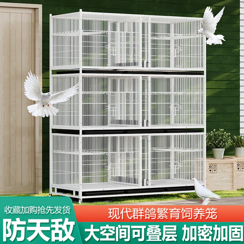 加密鸽子笼信鸽繁殖配对笼防老鼠黄鼠狼适用于室内外养殖