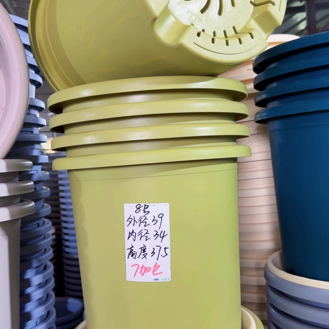 微瑕8#无拖果绿5个