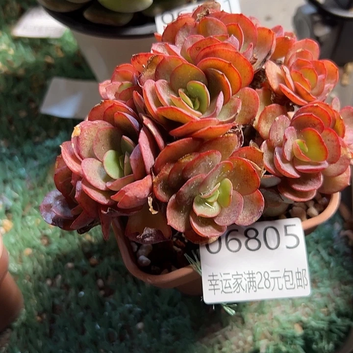 幸运的是我还没遇到过