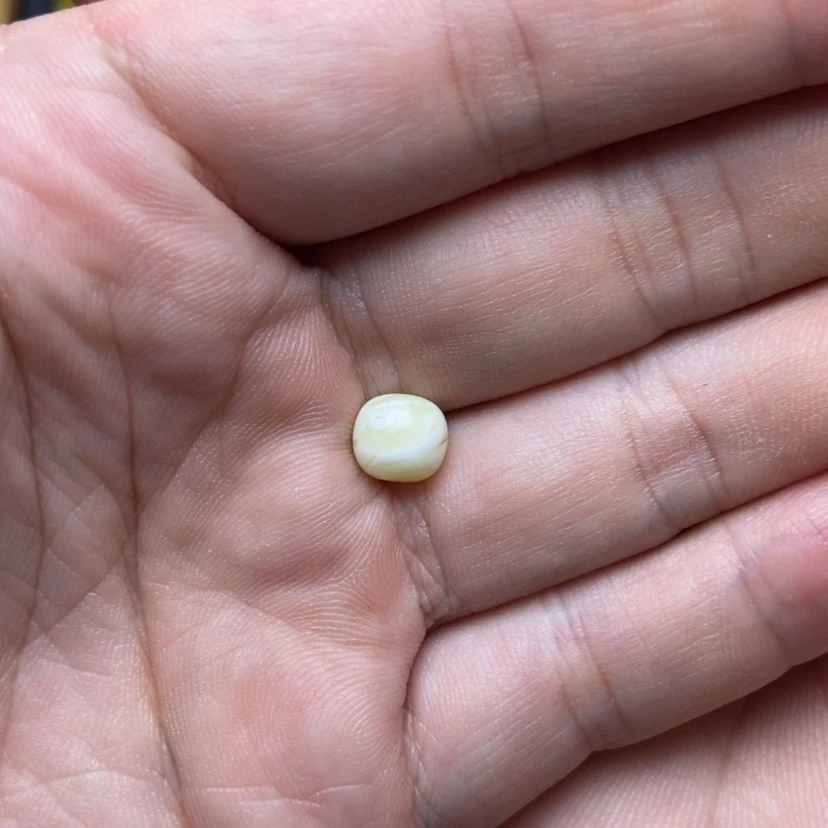 【闪购商品】琥珀未镶嵌珠宝奇石闲**宋