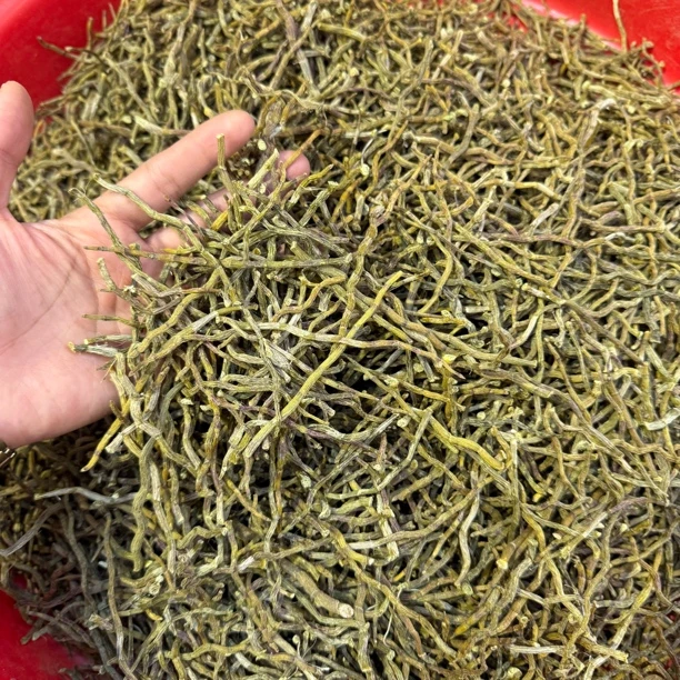 ［石斛条芽条］头茬芽条煲汤煮水都很好
