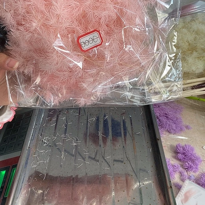 一物一拍所见即所0000