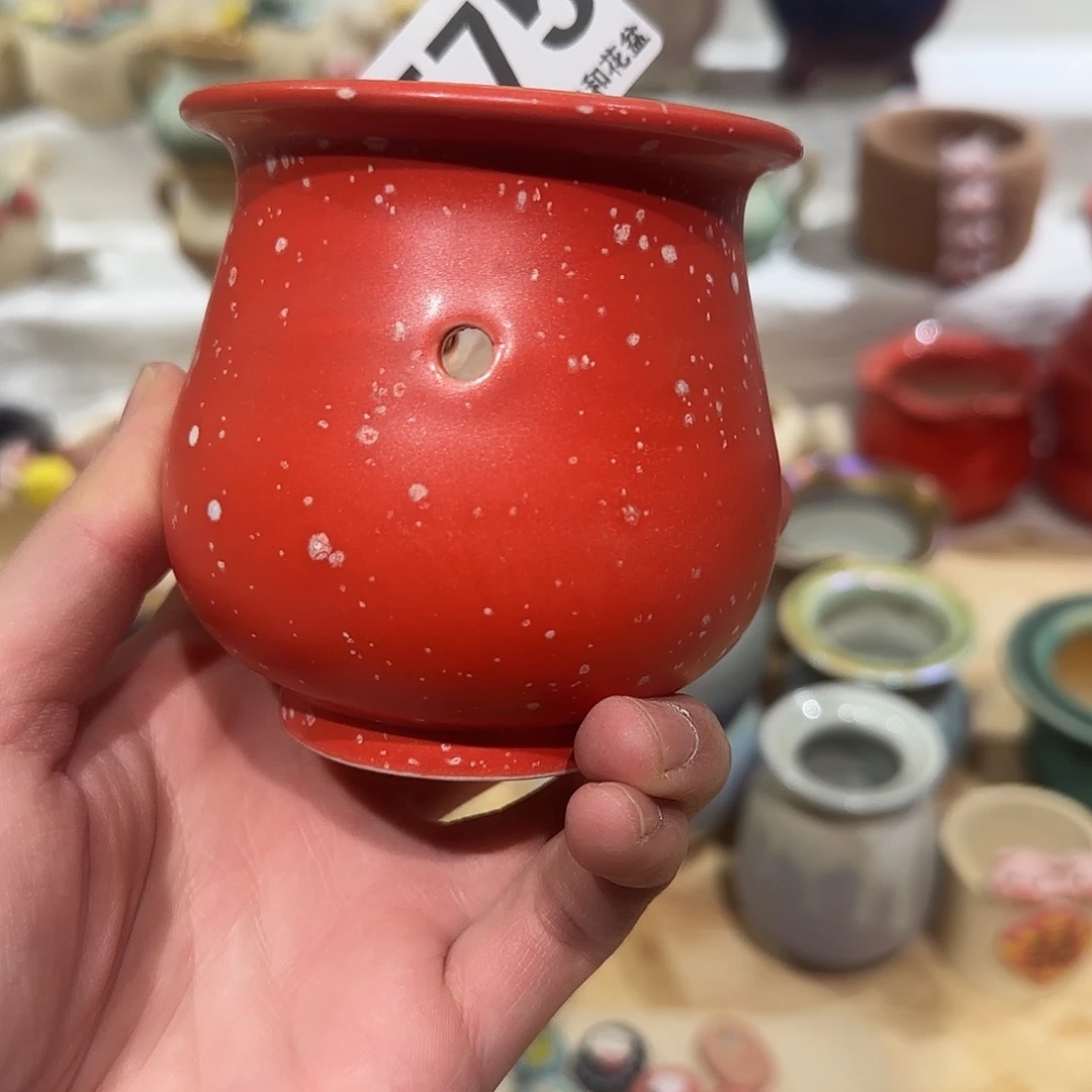 575 口5 默认微瑕花盆