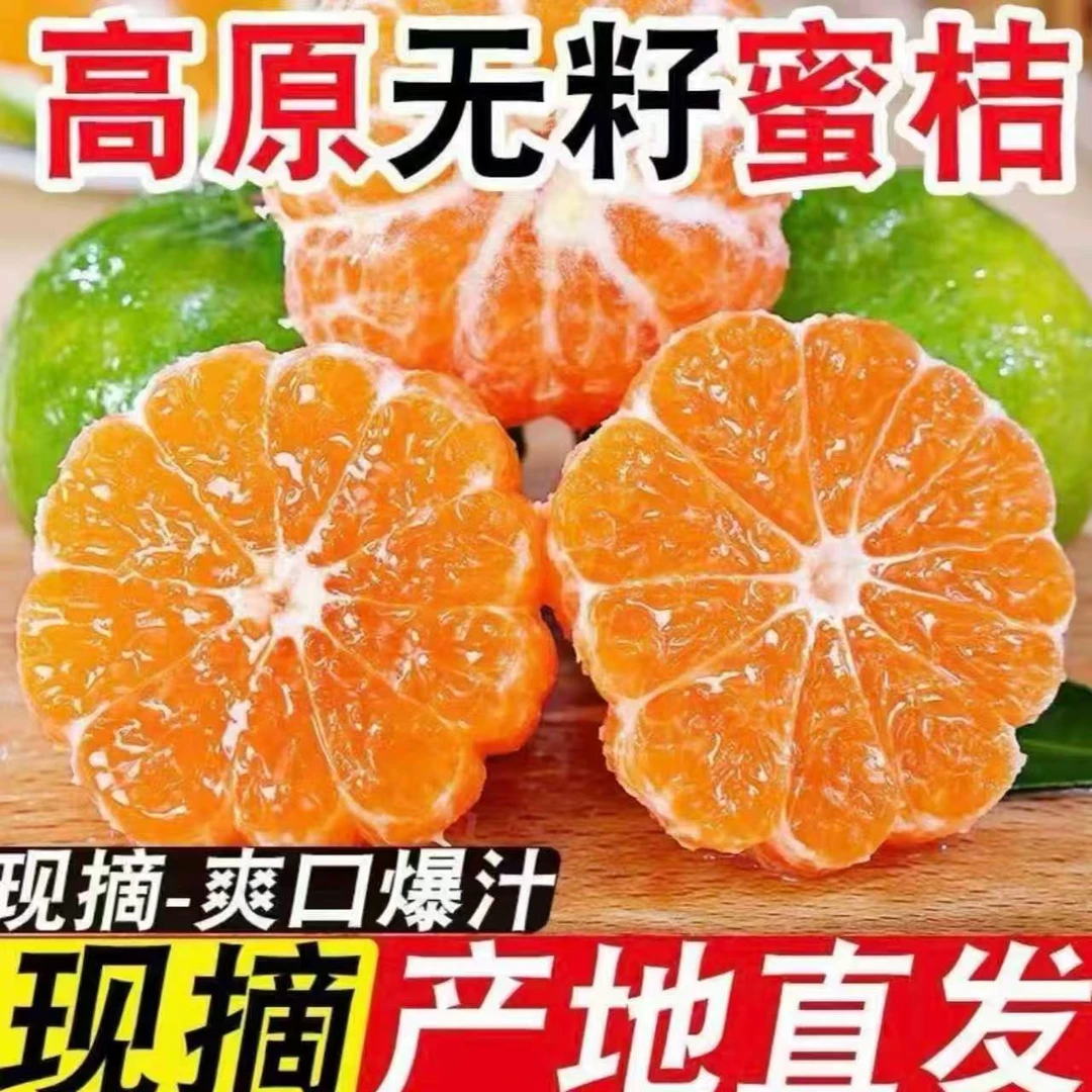 【酸甜多汁】现摘青皮蜜桔薄皮多汁无籽酸甜可口应季新鲜水果