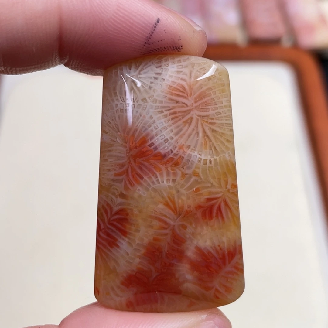 【闪购商品】未镶嵌吊坠(赠链)硅化玉