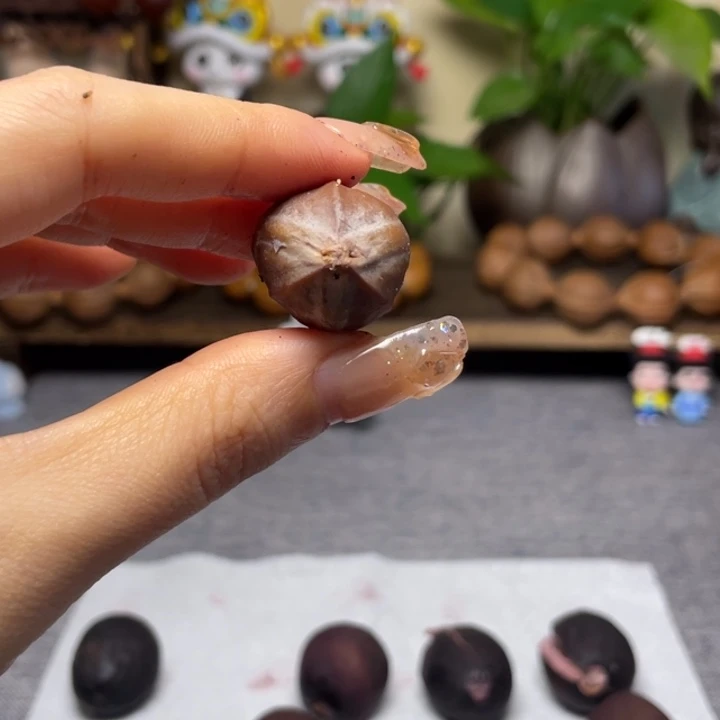 手串/手链橄榄核相*醉梅林铁核单籽