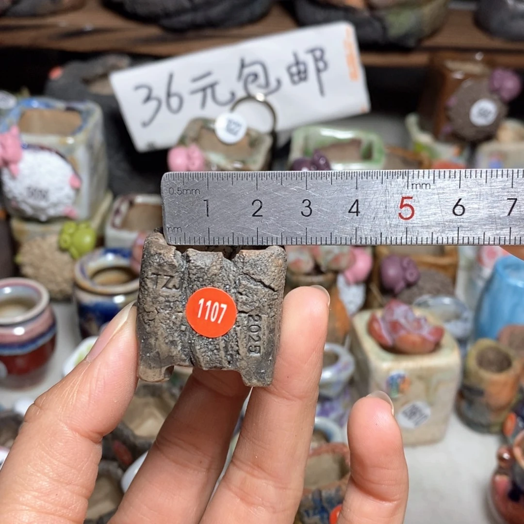 拍3送一个小礼物