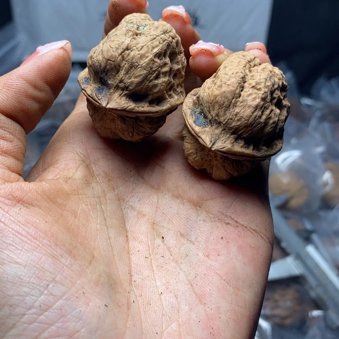 文玩核桃把件137号38mm