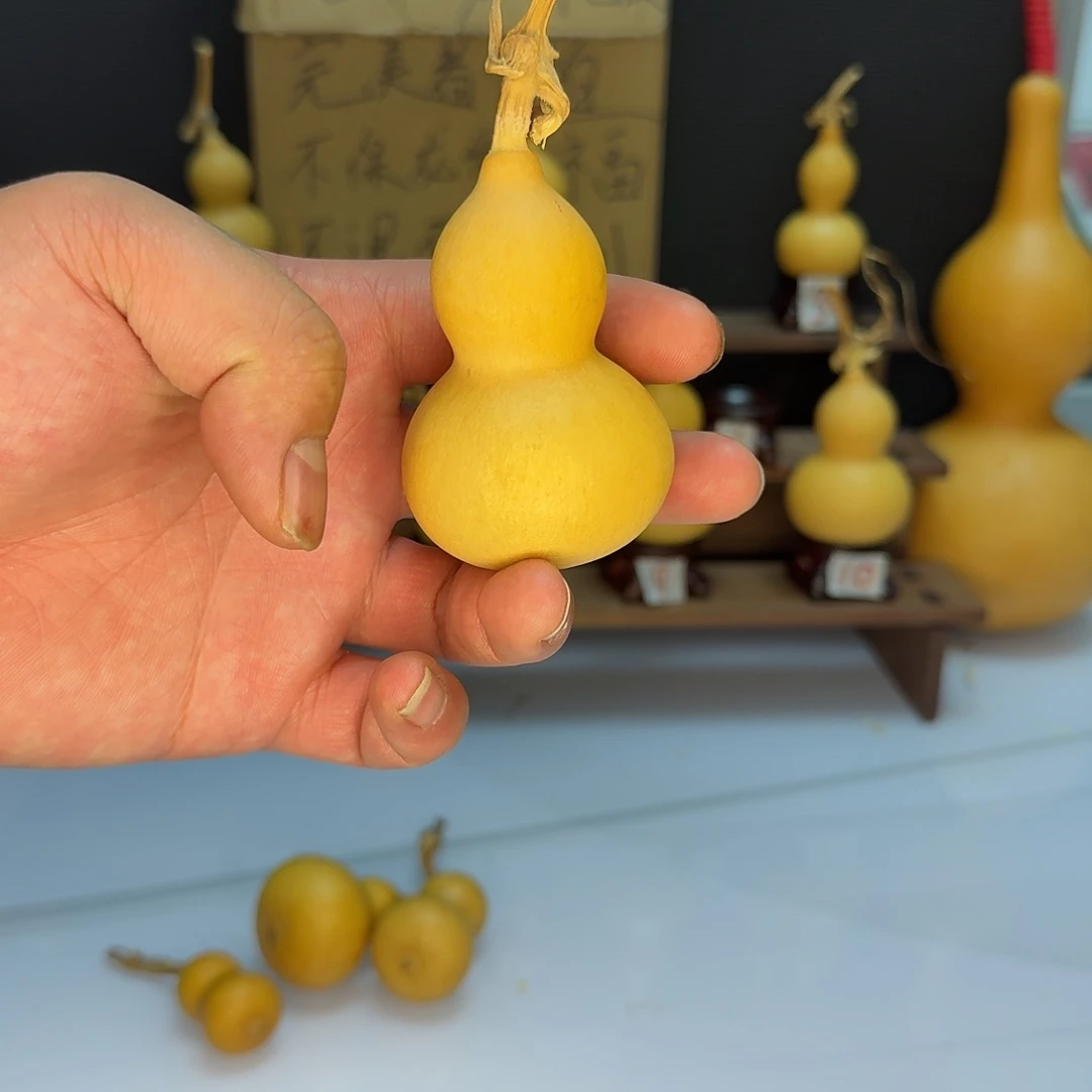 一物一拍完美勿拍