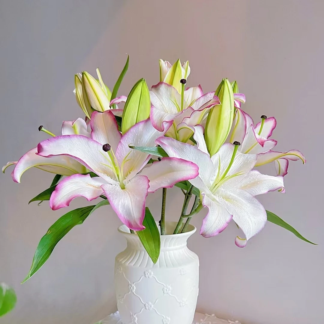 【多头唇彩香水百合】高品质 单瓣香水百合颜值高夏天家居鲜花