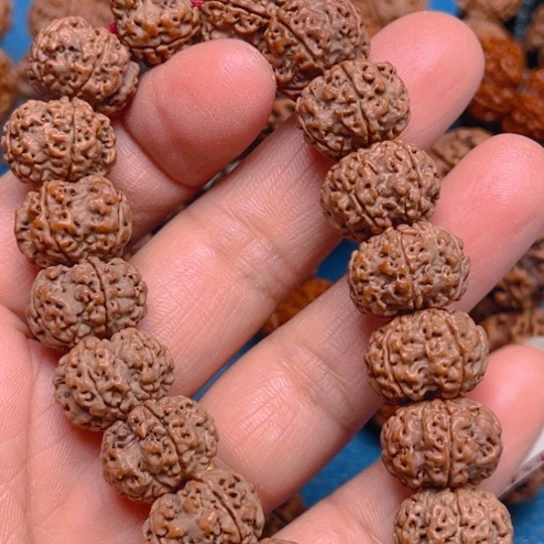 金刚菩提手串V00208/17/5