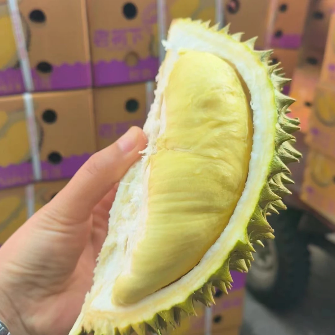 【巴掌榴莲】金枕鲜果榴莲 丑果 生劈不售后 整果发货