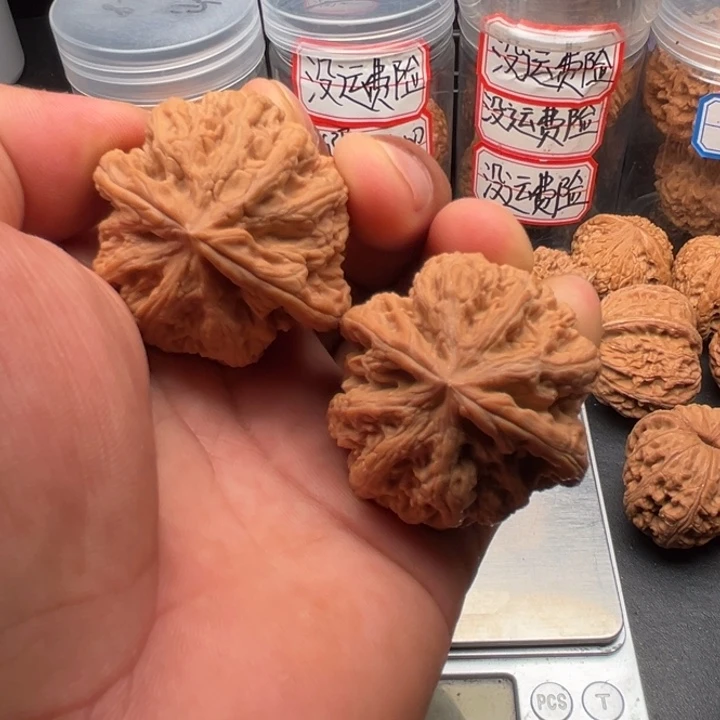 把件文玩核桃粗筋43