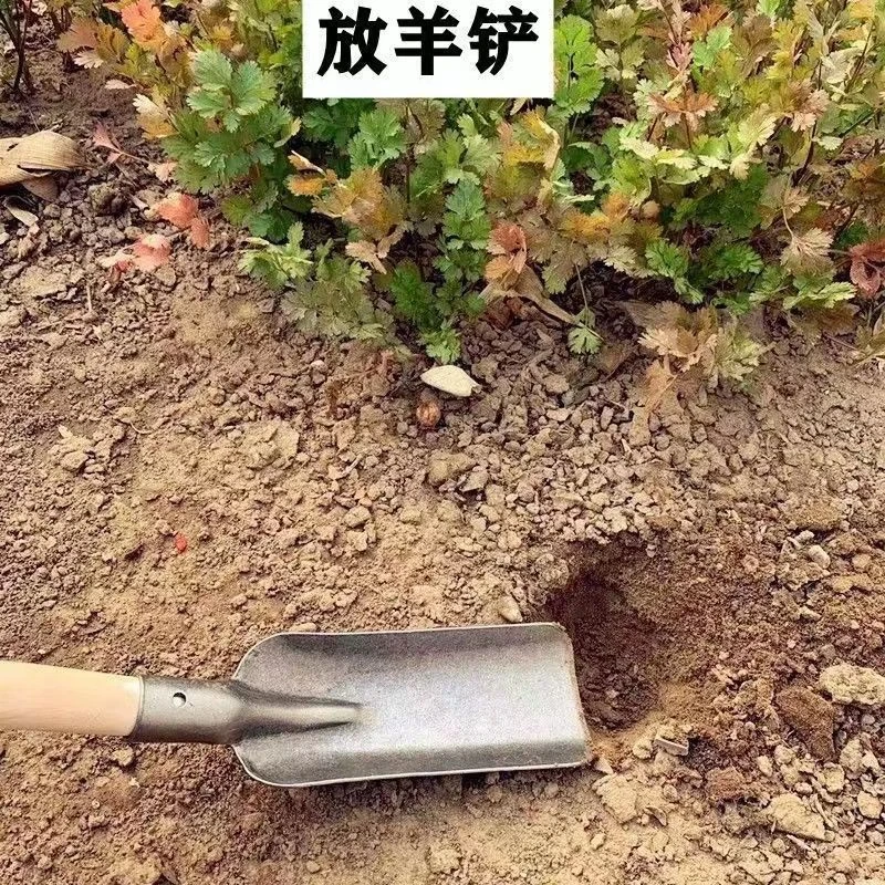 放羊铲子放羊小铁锹小号锰钢微型锹窄铲方铲多功能巴掌锹放羊木柄